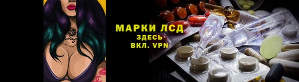 ПСИЛОЦИБИНОВЫЕ ГРИБЫ Зеленодольск