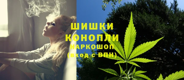 ПСИЛОЦИБИНОВЫЕ ГРИБЫ Зеленодольск